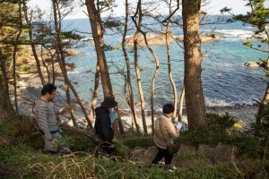 %e6%b5%b7%e3%81%ae%e3%83%92%e3%82%99%e3%82%b7%e3%82%99%e3%82%bf%e3%83%bc%e2%91%a2