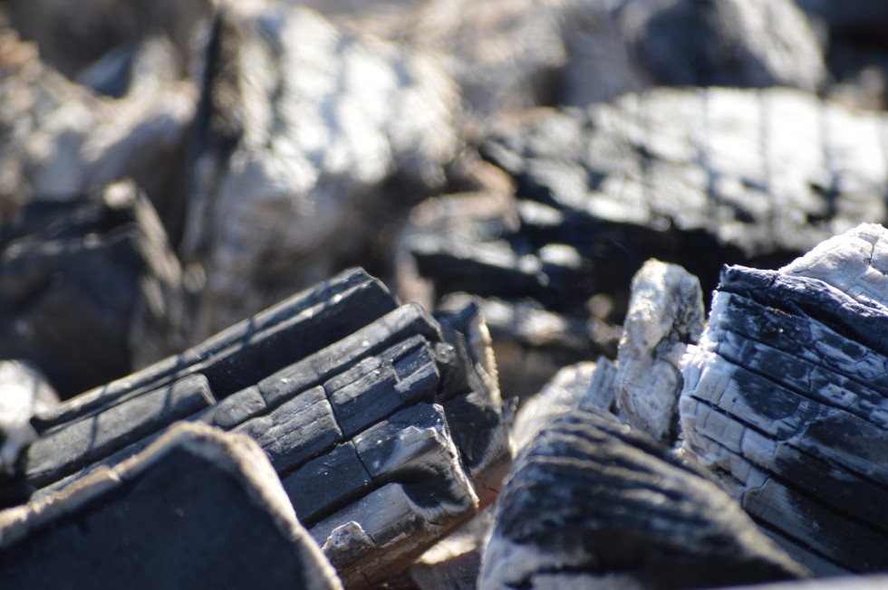 %e5%8b%9d%e6%89%8b%e6%b0%97%e3%81%be%e3%81%be%e3%81%ab%ef%bd%82%ef%bd%82%ef%bd%91-7