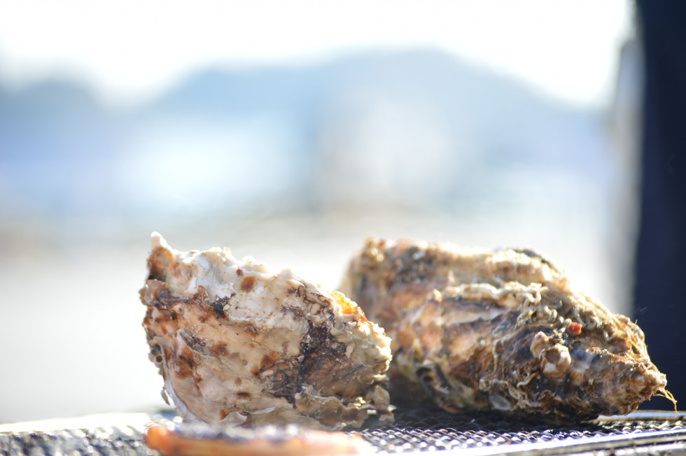 %e5%8b%9d%e6%89%8b%e6%b0%97%e3%81%be%e3%81%be%e3%81%ab%ef%bd%82%ef%bd%82%ef%bd%91-1