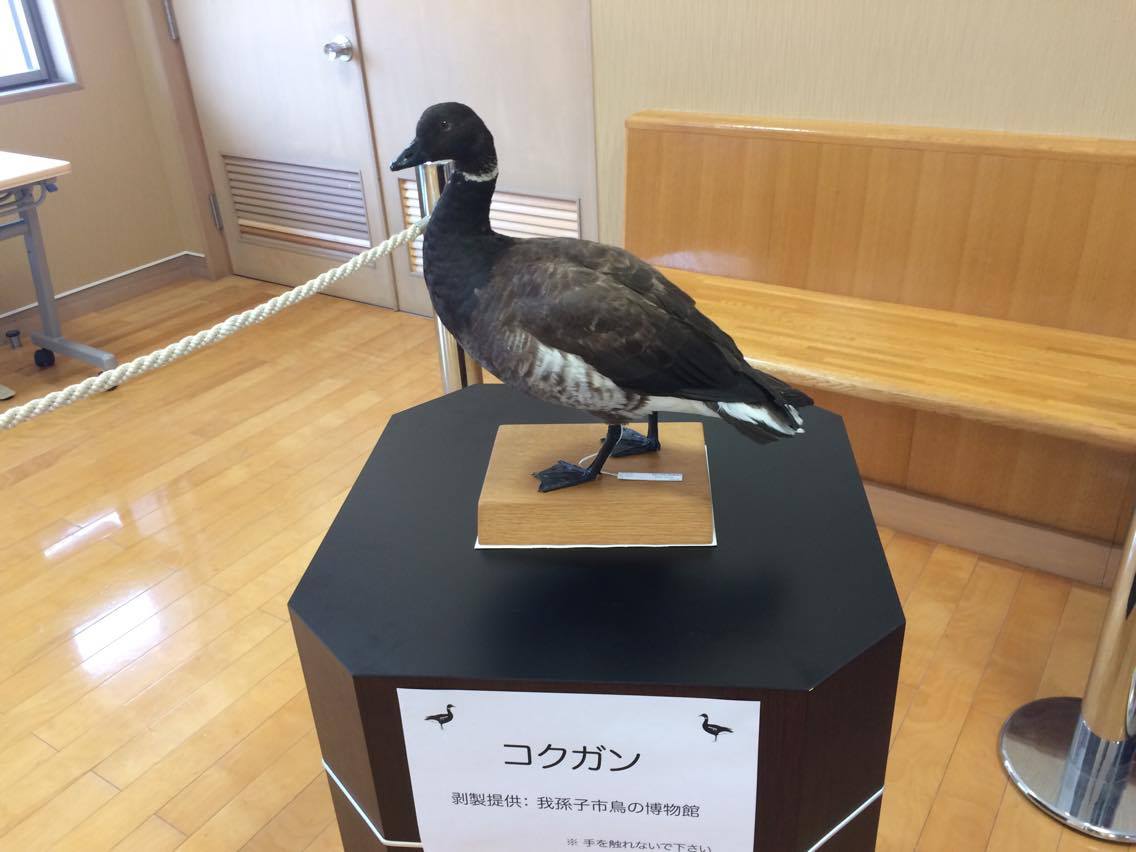 『ラムサール条約』登録へ向けて!!