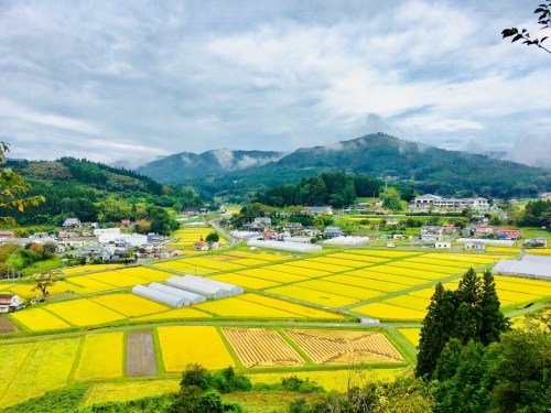 12月4日(月)みなみさんりく里山探検隊~第1回 入谷の歴史・伝統~
