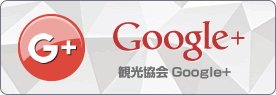 Google +