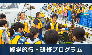 修学旅行・研修プログラム