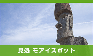 モアイスポット