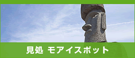モアイスポット