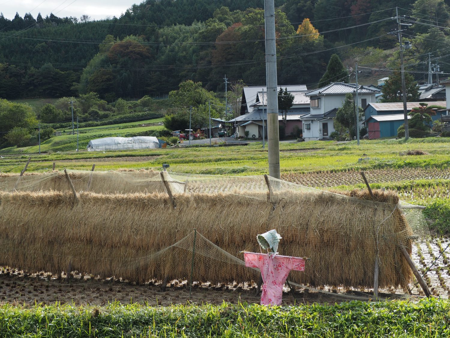 この言葉もか!?「南三陸(地域)の方言」紹介