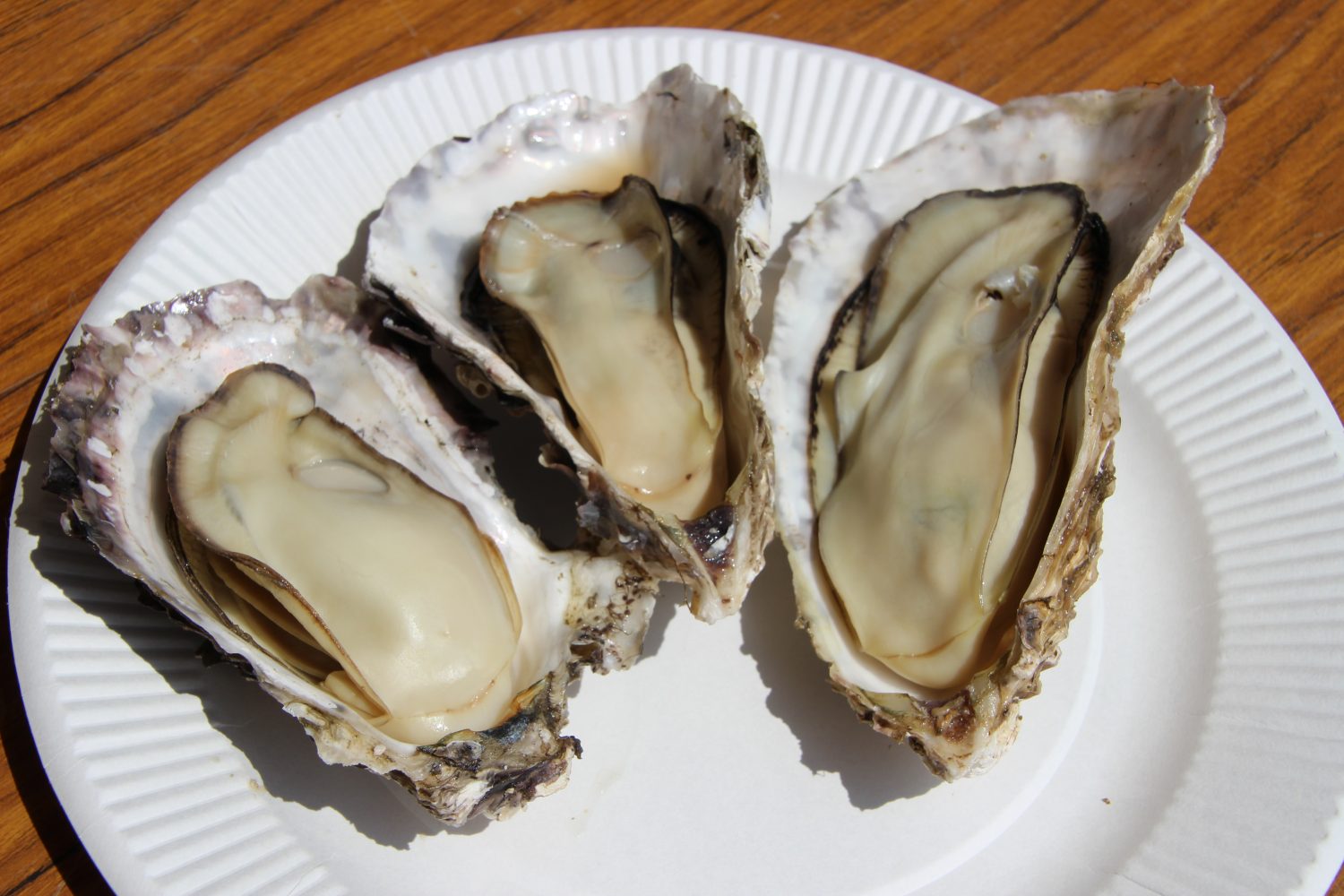 殻付き蒸し牡蠣