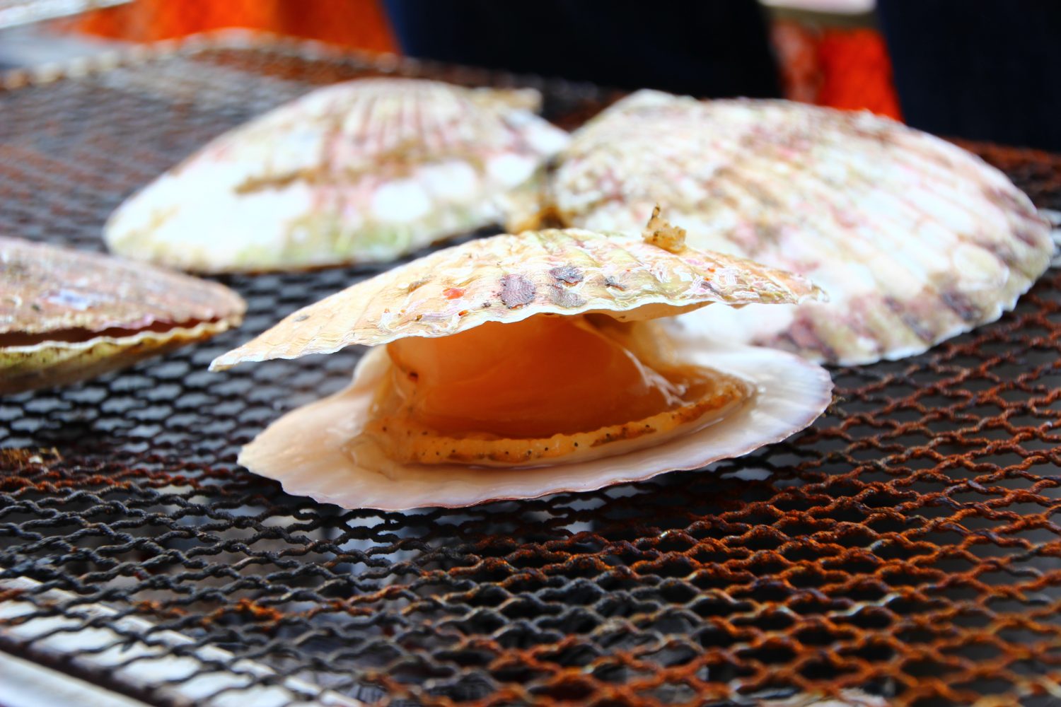 浜焼きコーナー　ホタテ焼き