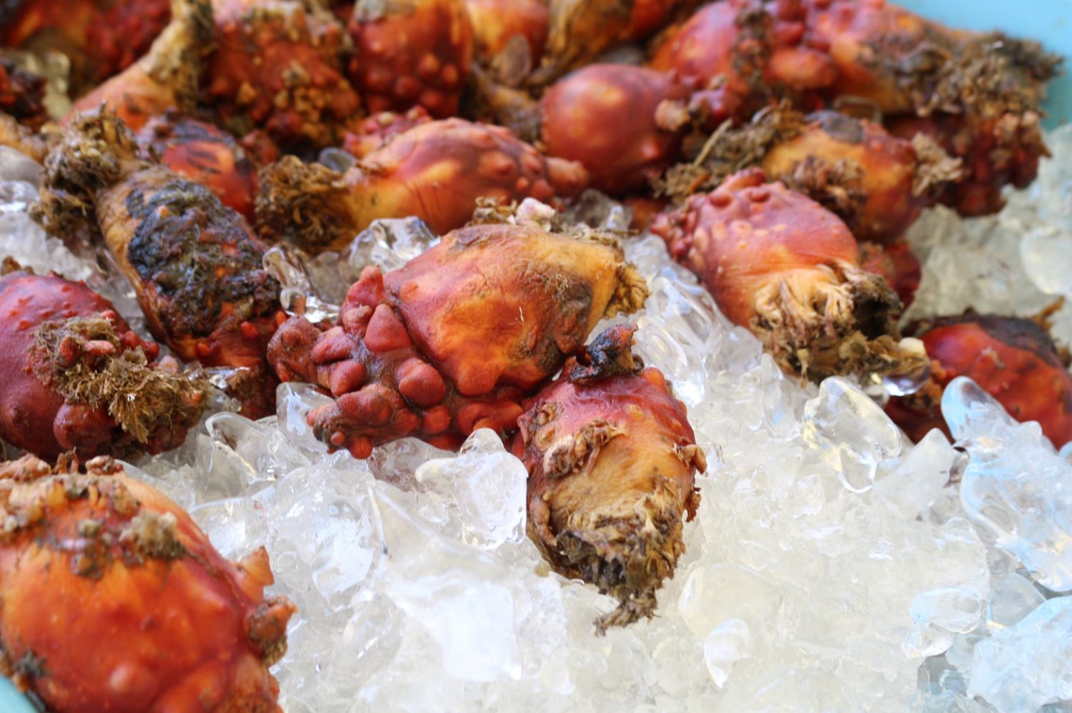 福興市_190530_0040