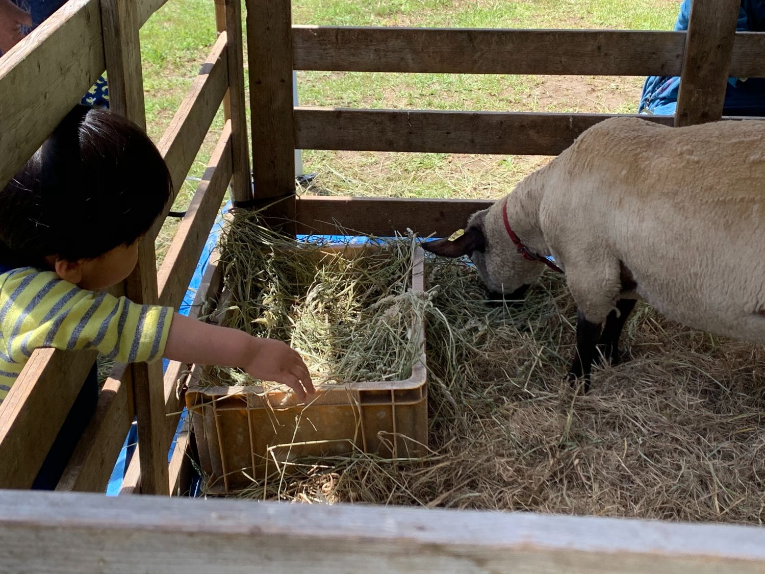 cache_Messagep274307