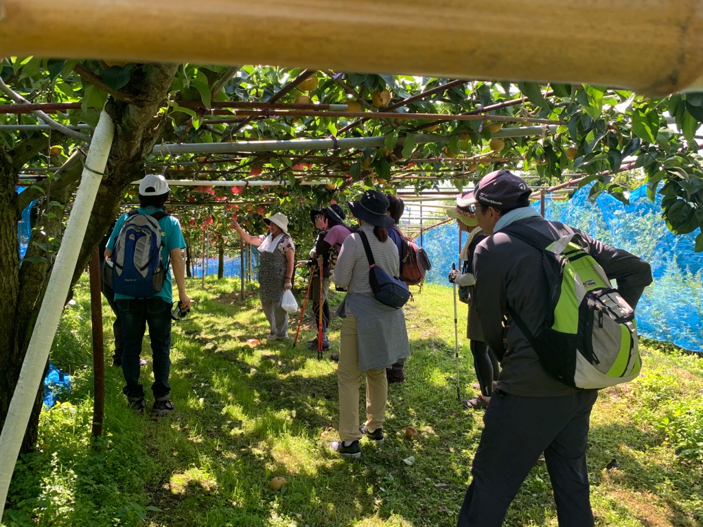 UNADJUSTEDNONRAW_thumb_5986