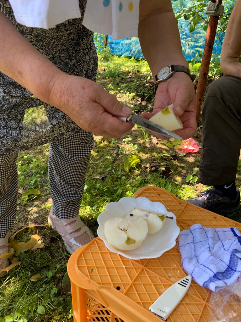 UNADJUSTEDNONRAW_thumb_598b