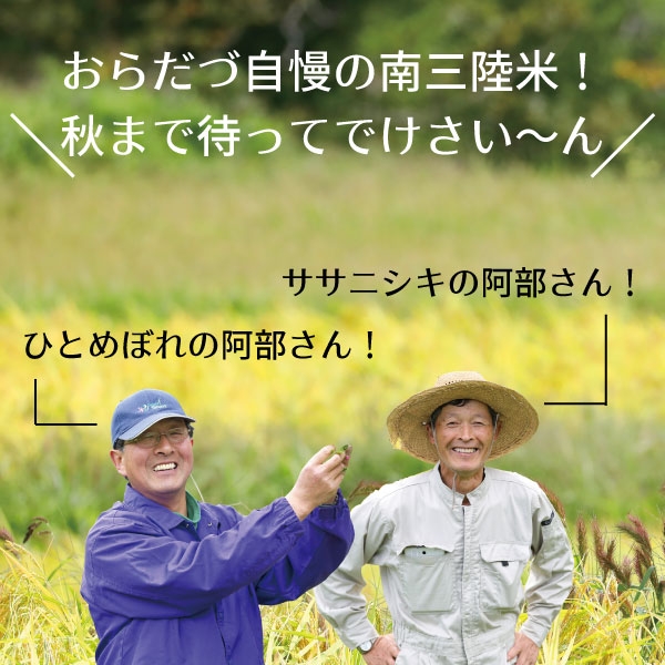 【未来の宅配便】地域の愛情たっぷりに育てられた 新米食べ比べセット 販売開始