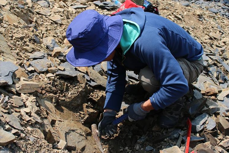 31164041_1230523450412176_4283846809626869760_n