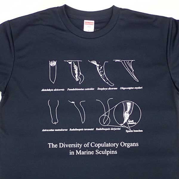 【南三陸Tシャツ特集②】いであるミュージアムショップTシャツ