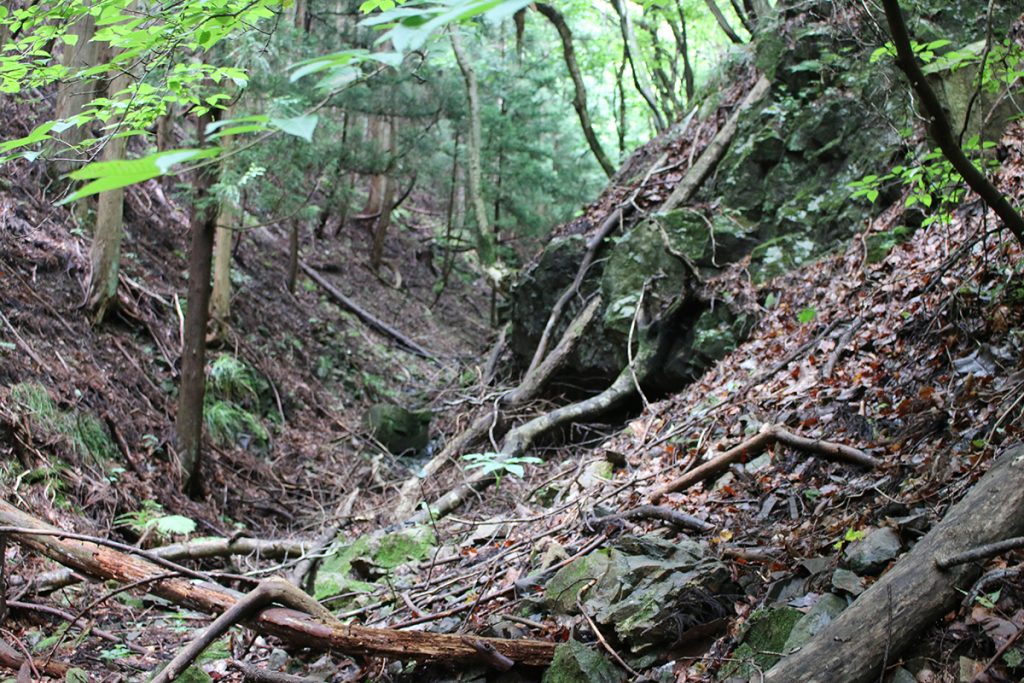 『地質学のふるさと 南三陸』