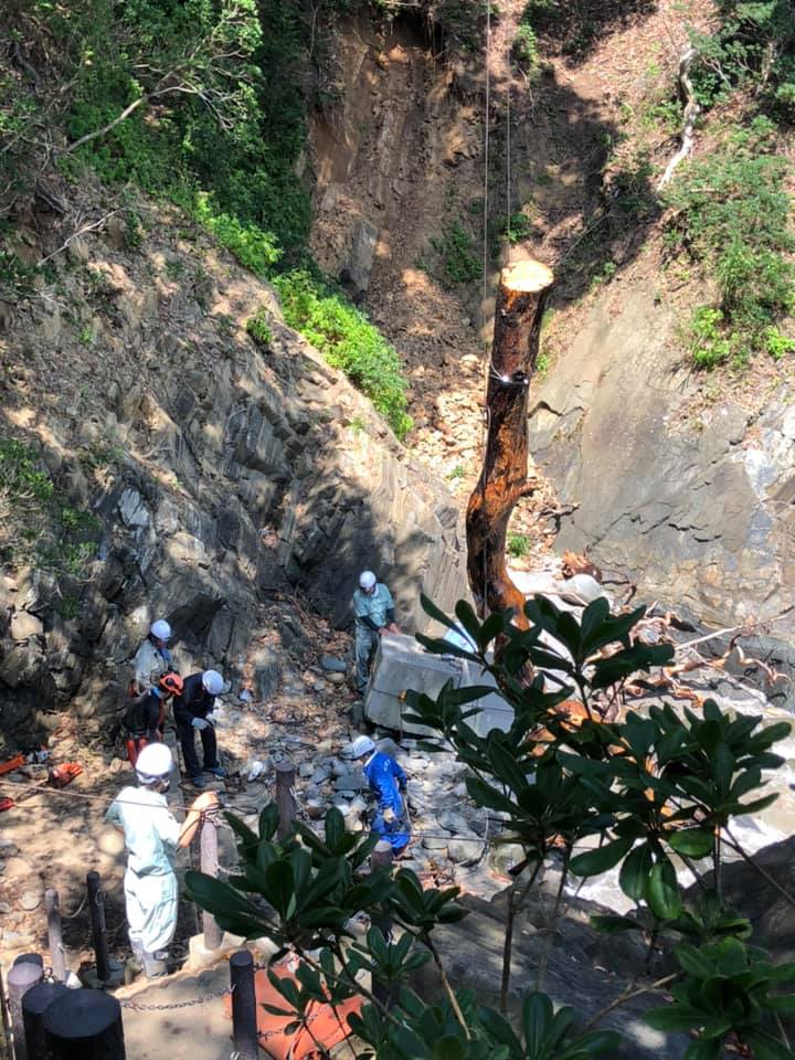 【神割崎】岩間の倒木撤去完了