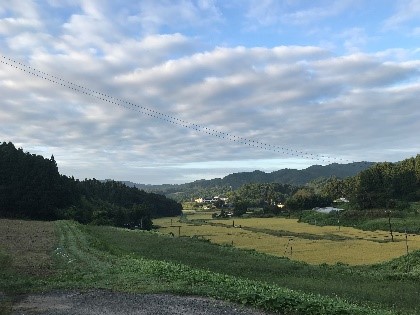 南三陸は農産物もとっても美味しいんです！