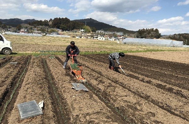 南三陸の新米