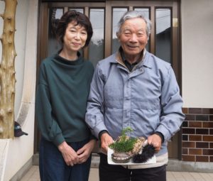 【GoToトラベル】新鮮な海の幸・自家製野菜のお料理