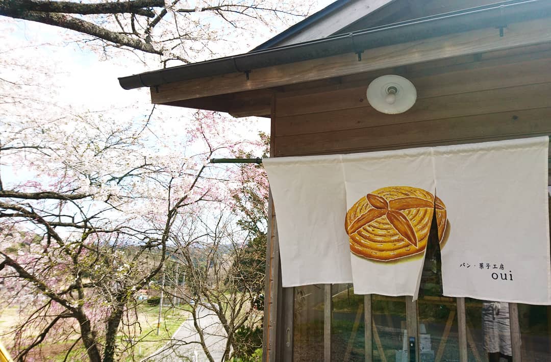 172106514_402421297516541_779007300049503537_n