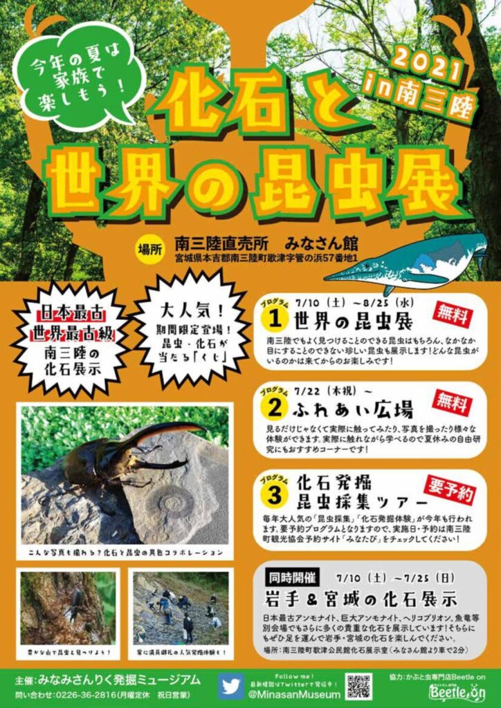 【お知らせ】夏休みに楽しめる『化石と世界の昆虫展』開催中！