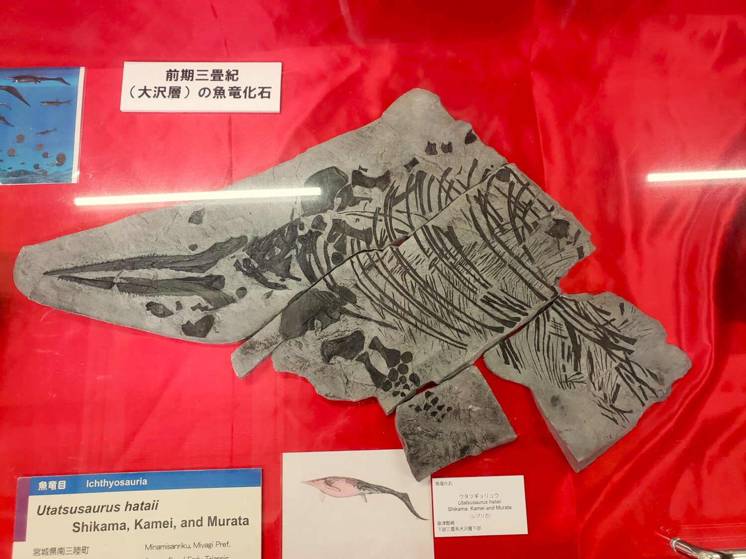 278758159_1166251417480902_4673425377154362253_n1