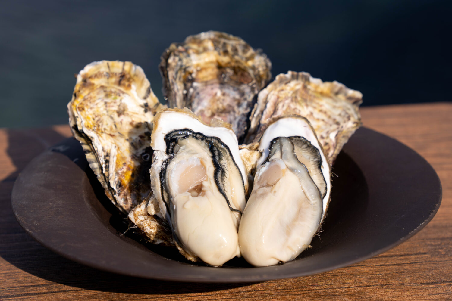 牡蠣を食べるために大行列!? 南三陸産 の牡蠣が大人気の理由とは?