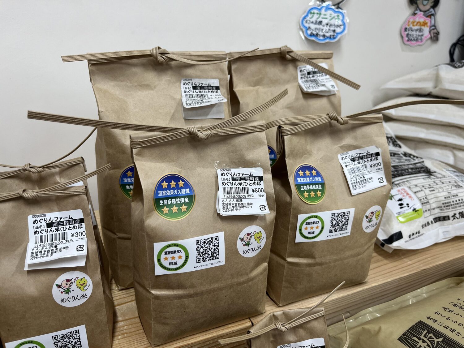 438115797_984723183352093_6229859172118039393_n