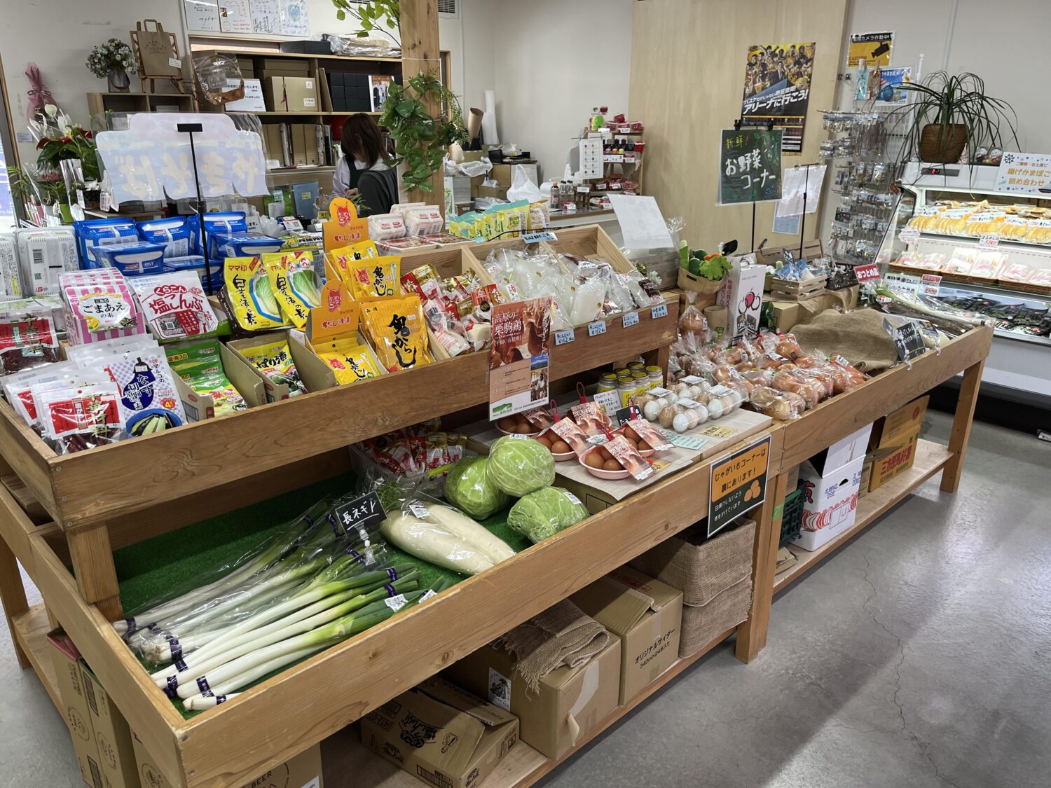 438115867_981554216939454_6766548170632014083_n