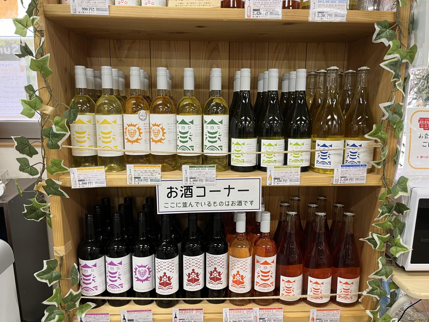 438171699_2105601876464765_9163034183558933235_n