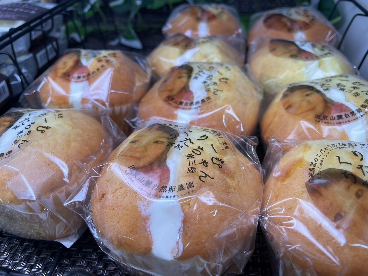 447767975_1651400285678009_5328496154578970954_n