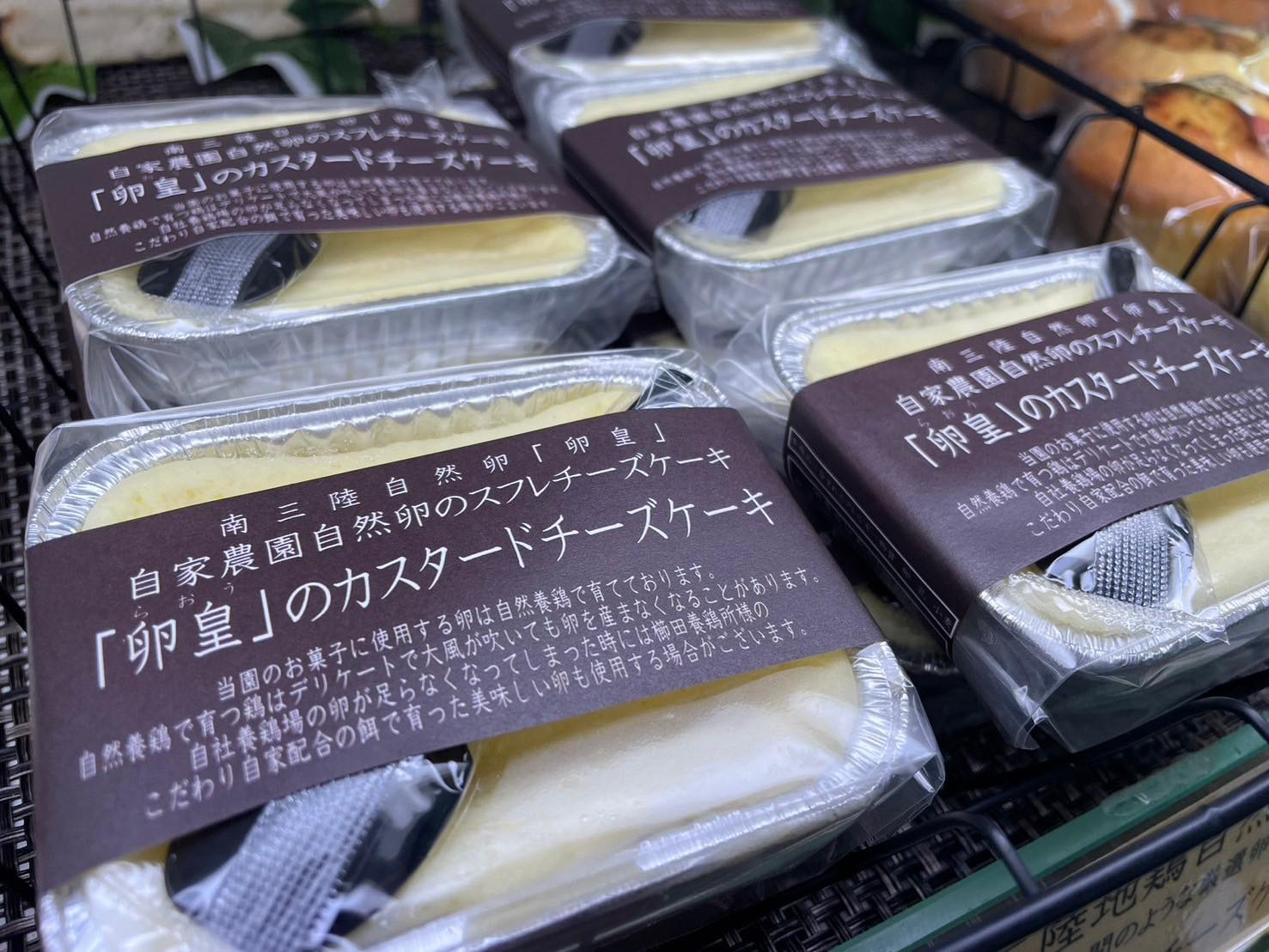 448259430_852542986732133_8993530043196358136_n