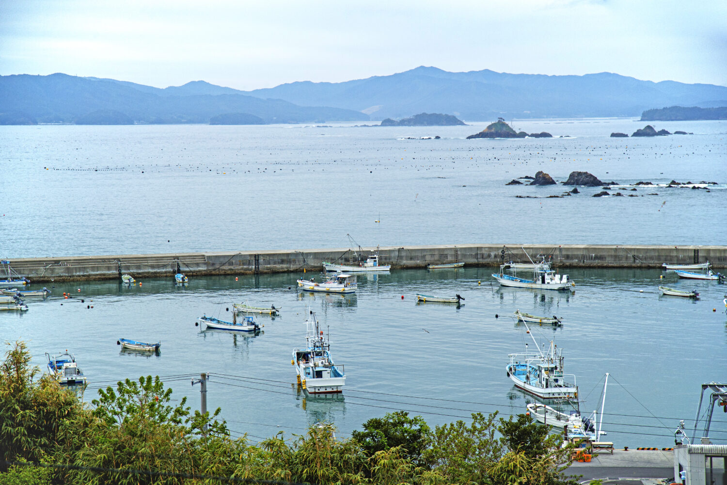 清観荘-部屋からの眺望_n