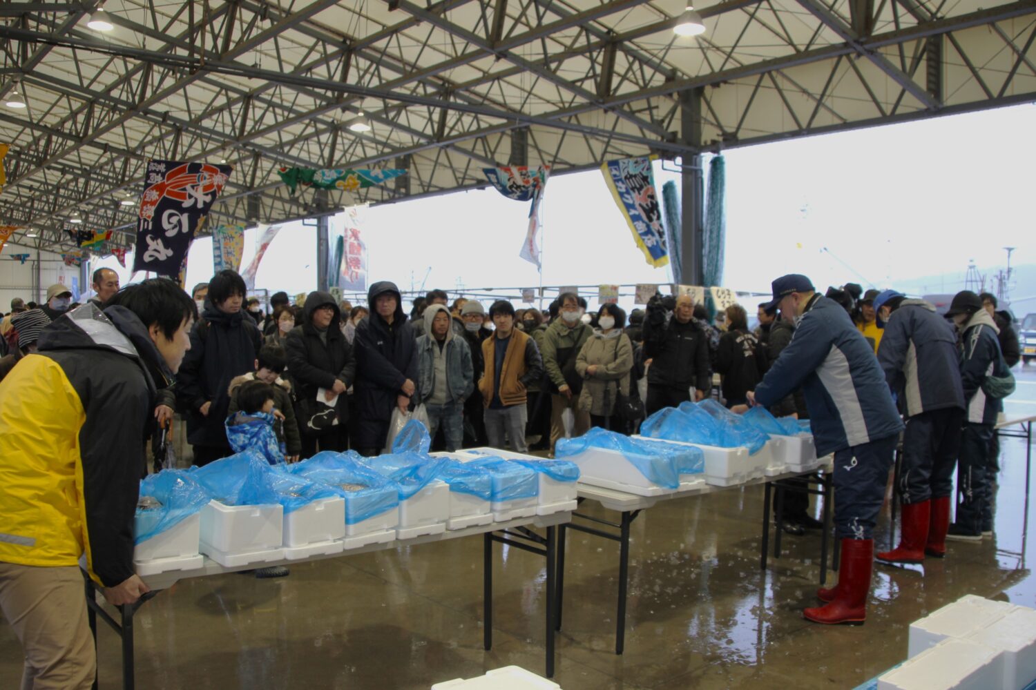 寒鱈一本売り_写真1