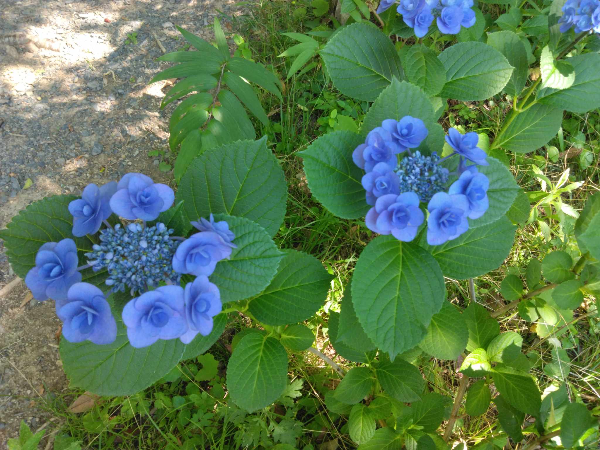 20240701T044923708.att.7213403260320664016