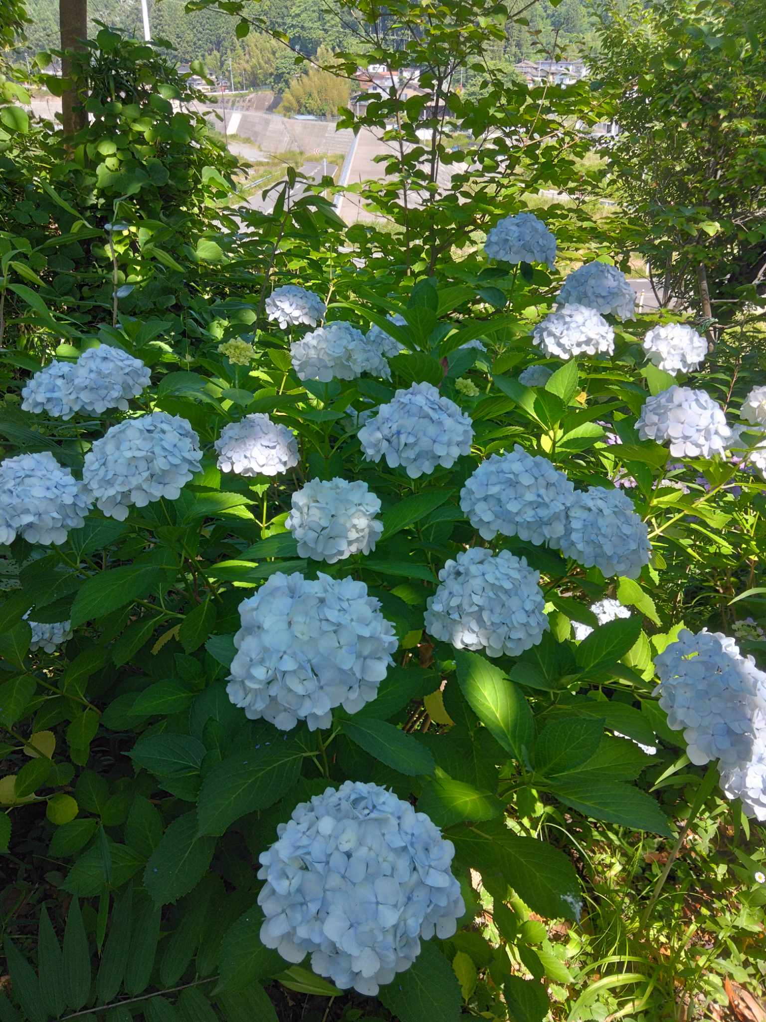 20240701T044923708.att.7213403260321218610