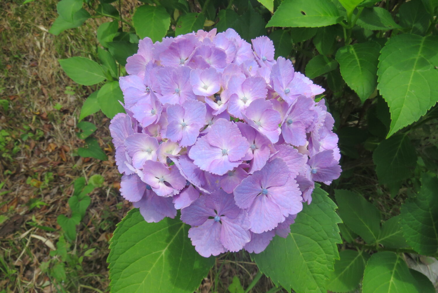 449405044_808339294729430_716202278158674456_n