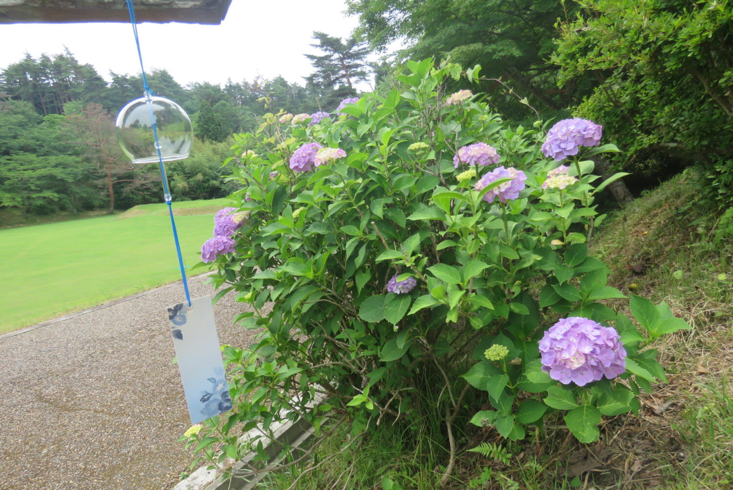 449412982_808339161396110_2787468508012719647_n