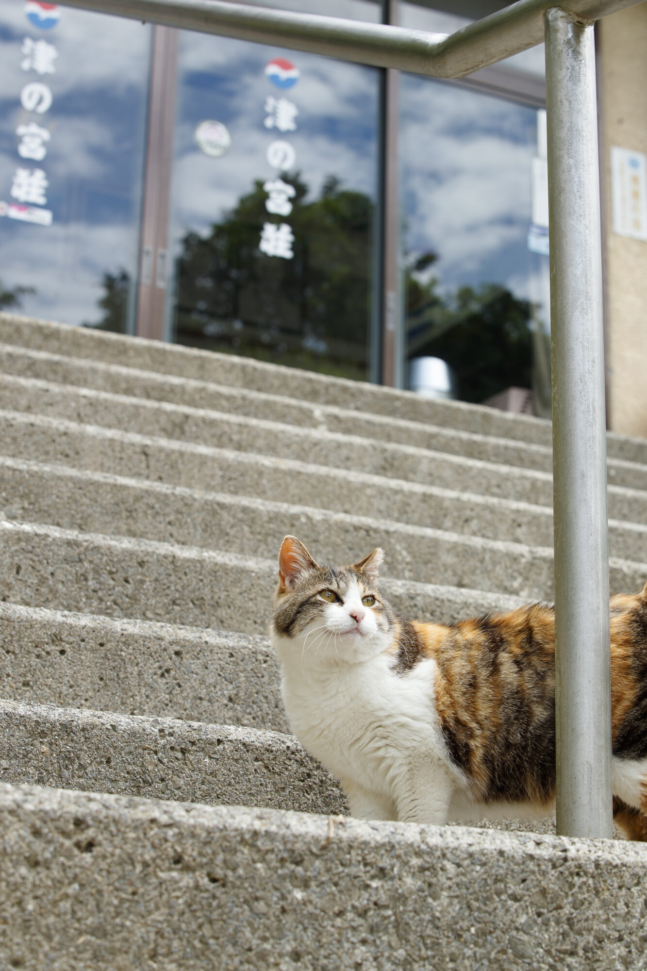 津の宮荘-スタッフ-ミケ