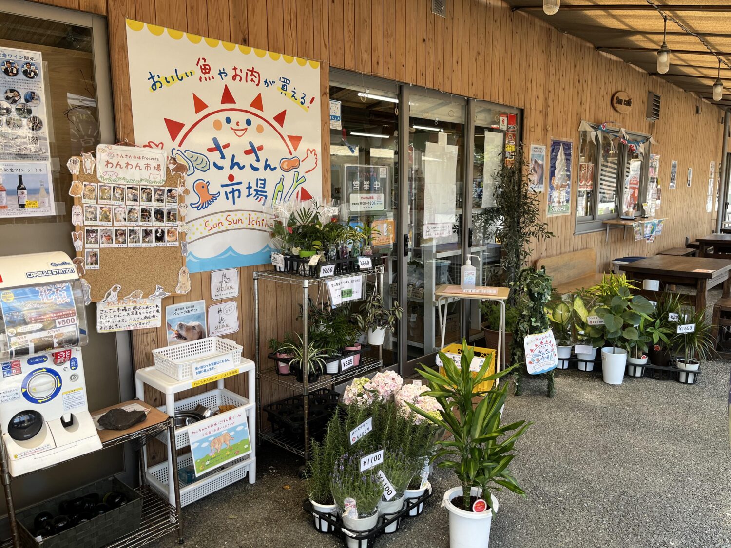 438102142_980264523548490_2832579812280018802_n