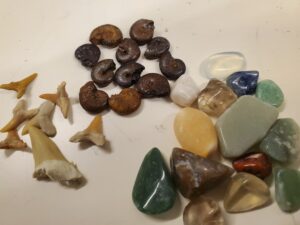 中に入っているもの一例