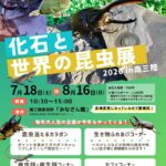化石と世界の昆虫展 2026 in南三陸