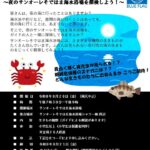 サンオーレそではまナイトハイク