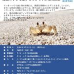 海辺の小さな生きものから学ぶ環境教室