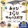 サウルス教室_スライダー