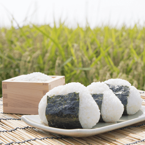 テーマイメージ