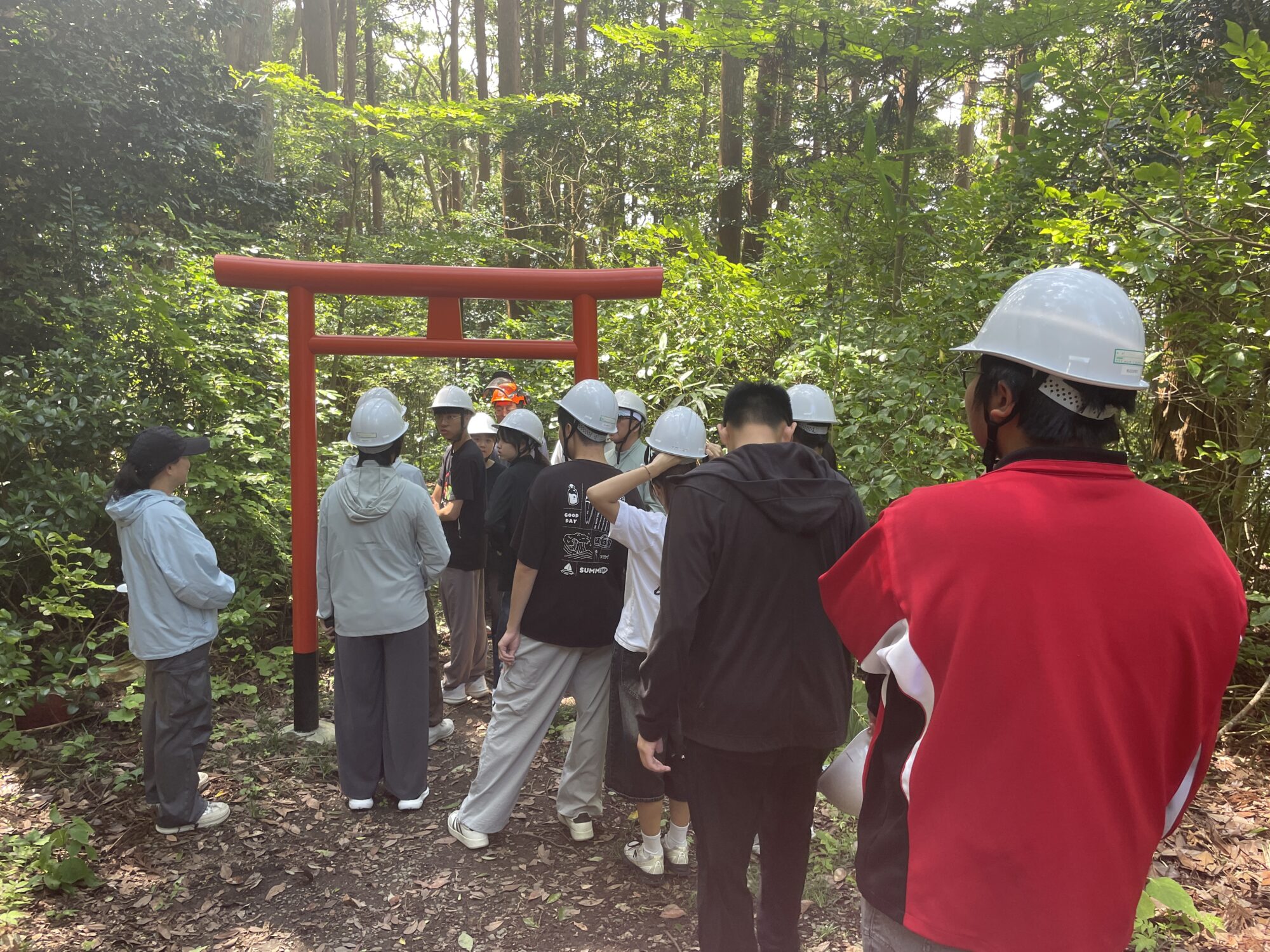荒島森林散策